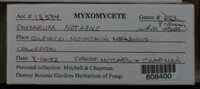Image Associated With the Occurence